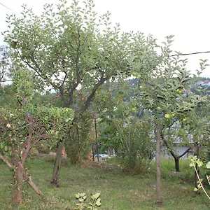 Tutnovo 13 Fiume